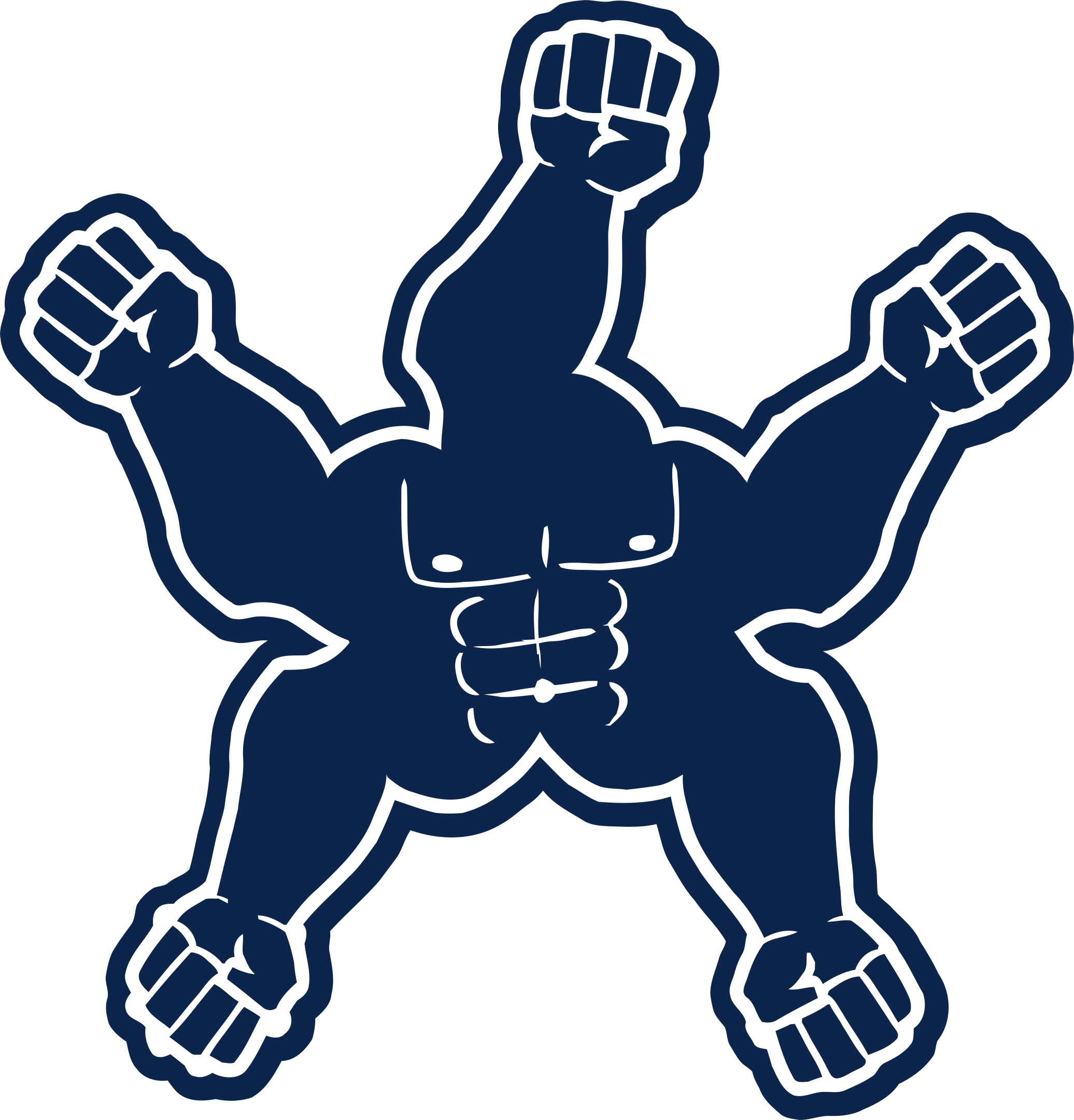 Dallas Cowboys Steroids Logo DIY iron on transfer (heat transfer)